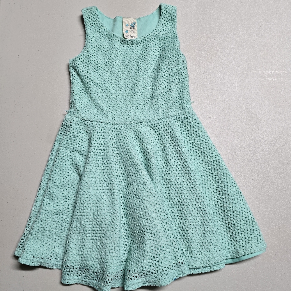 Lily bleu real dress, without belt.
